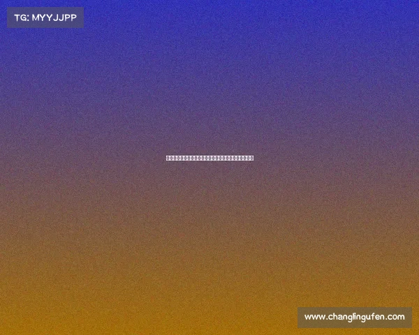 篮球世界杯全球顶级球队齐聚巴黎角逐冠军荣耀巅峰对决